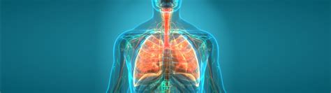 Pulmonology – East West Pharma
