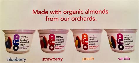 Product Review: AYO Organic Almond Milk Yogurt | The Worley Gig