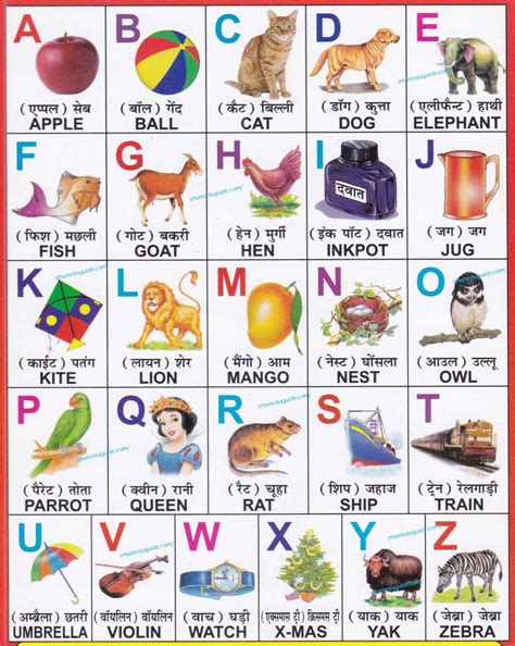 A for apple b for ball c for cat d for dog chart in Hindi