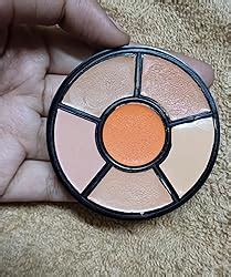 Buy Insight Cosmetics Pro Concealer Palette-Concealer|Conceal |Correct ...