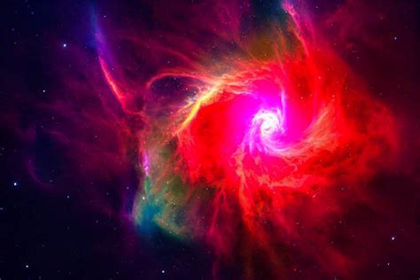 Exploding Toads Video 的图像结果