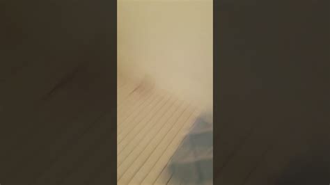 Sis vs Bro Poop Challenge 的图像结果