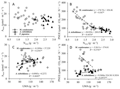 Photosynthetic Properties of Co-Occurring Pioneer Species on ...