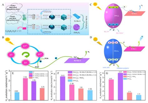 The Advanced Progress of MoS2 and WS2 for Multi-Catalytic Hydrogen ...