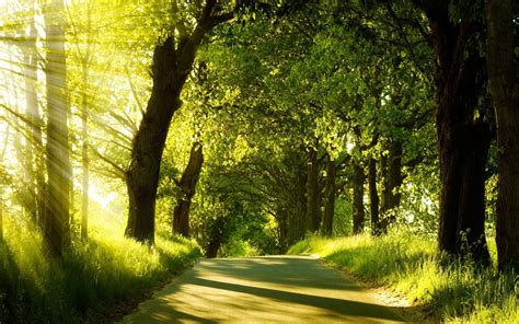 Image result for Background Images for JavaScript