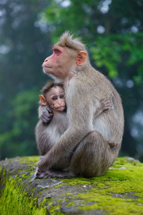 Hot+Mom+Gifs Photos, Download The BEST Free Hot+Mom+Gifs Stock Photos ...