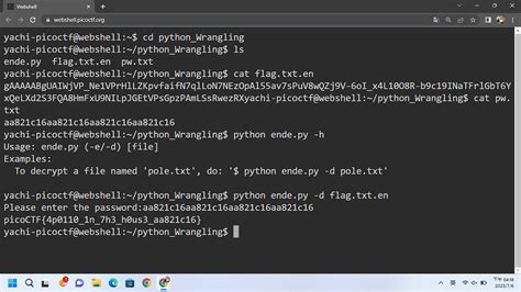 Image result for picoCTF Python Wrangling Solution