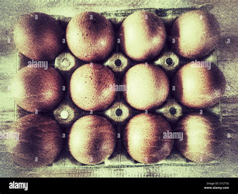 One dozen fresh brown eggs in an egg box Stock Photo - Alamy