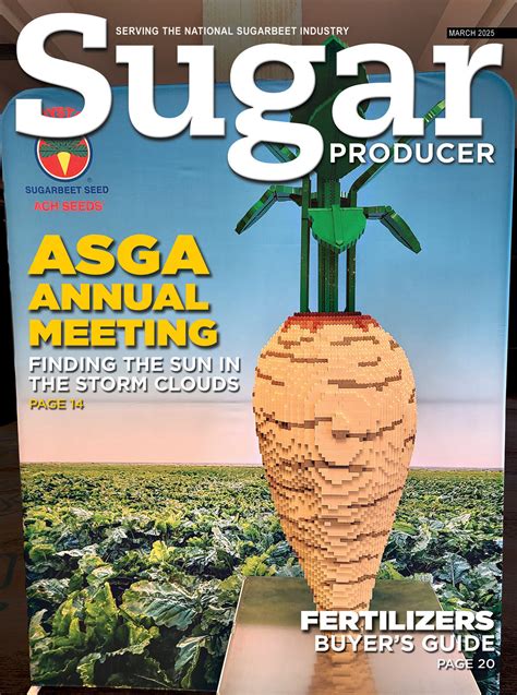 Largest Sugar Producer In The World 2024; List Of Top 10 India with the ...