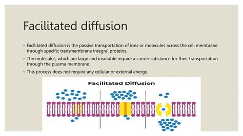 (passive transport) MECHANISM THAT SUBMITTED.pptx
