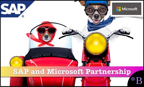 Partnership Program 的图像结果