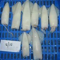 Frozen Squids,Frozen Squid Whole,Frozen Squid Whole Cleaned Exporters ...