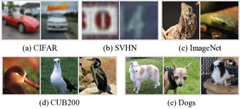 Image result for How to Train Using Image Dataset From Directory