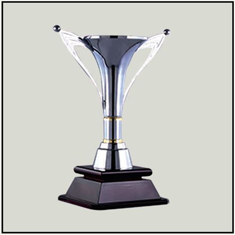 New Metal Cup – Durable Award for Achievement & Recognition