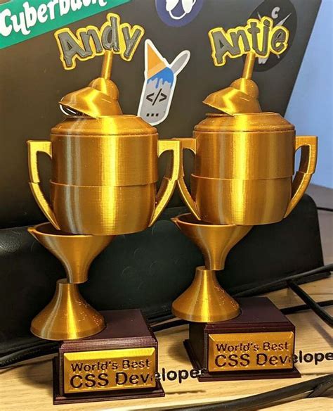 Image result for Best CSS Developer Trophy