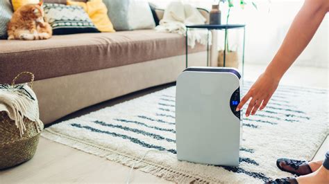 How to prevent condensation on windows, according to experts | Woman & Home