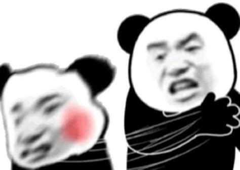 Ghim của baezhij trên memes | Hài hước, Meme, Gấu trúc