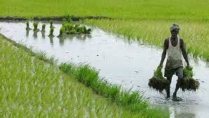 Agriculture & Farming Equipment - Asian Trading Company