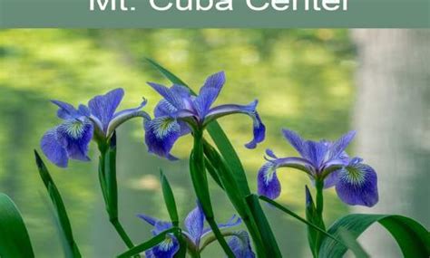 Summer in Delaware | Visit Delaware