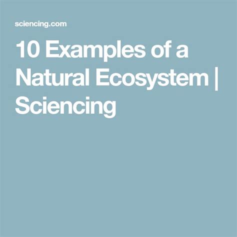 Natural Ecosystem Examples 的图像结果