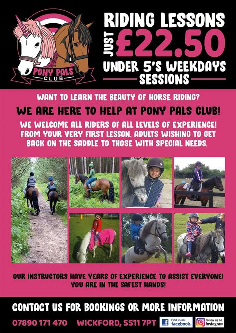 LESSONS AND FUN RIDES , 11 browns avenue Wickford essex , SS11 7PT ...