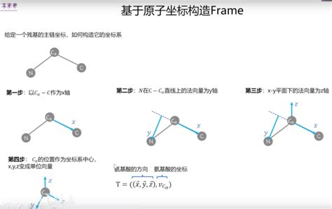 Alphafold2 Explained 的图像结果
