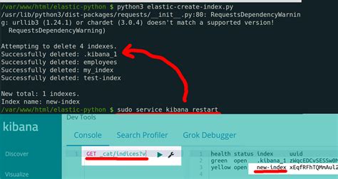 Python ElasticSearch Index and Search Example 的图像结果