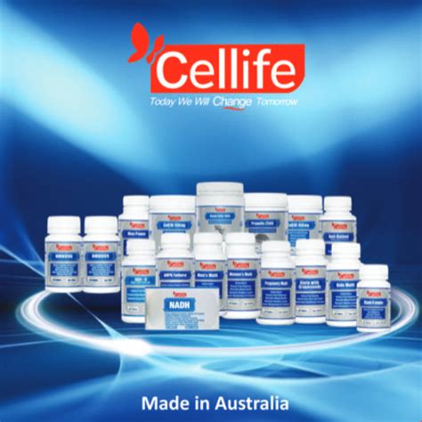 All Cell 的图像结果