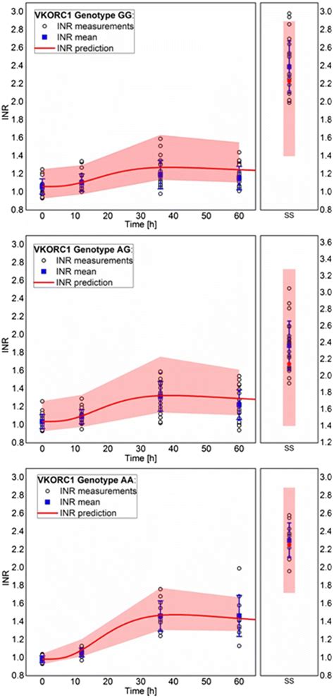 Machine Learning INR 的图像结果
