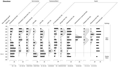 History of Mid- and Late Holocene Palaeofloods in the Yangtze Coastal ...