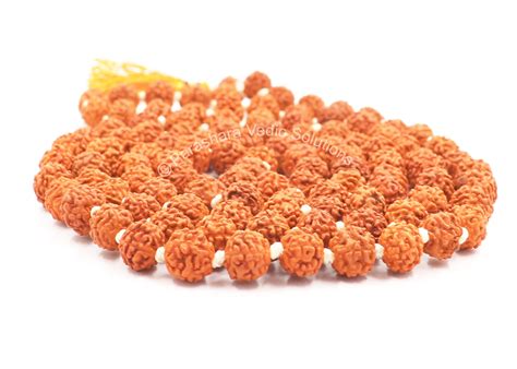 Arkam - Premium range of spiritual products|Arkam Rudraksha Mala ...