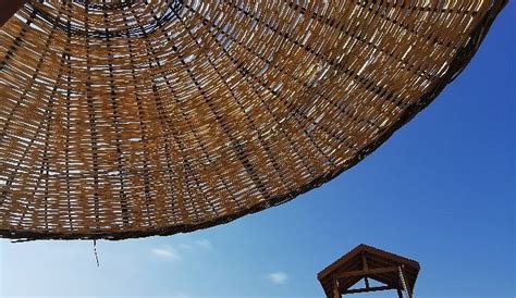 PLUMMY BEACH (2026) All You Need to Know BEFORE You Go (with Photos ...