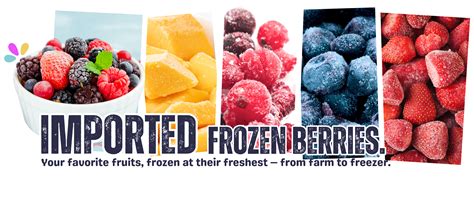 Premium imported IQF frozen berries - Ready to us – frut.shop
