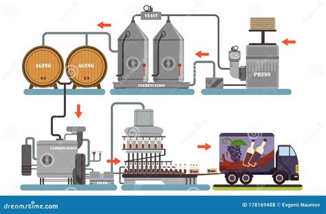 Wine Production Process, Alcoholic Beverages Making Equipment, Grapes ...