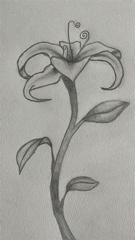 Tangled flower | Tangled drawing, Rapunzel drawing, Pencil drawings of ...