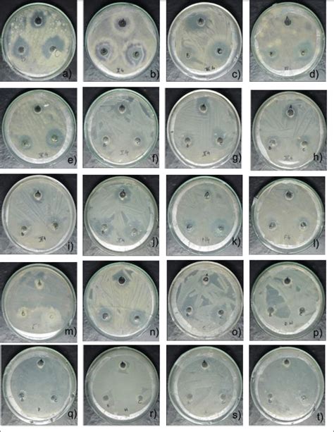 Image result for Well Diffusion Method