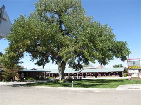 Greybull Pictures - Traveller Photos of Greybull, WY - Tripadvisor