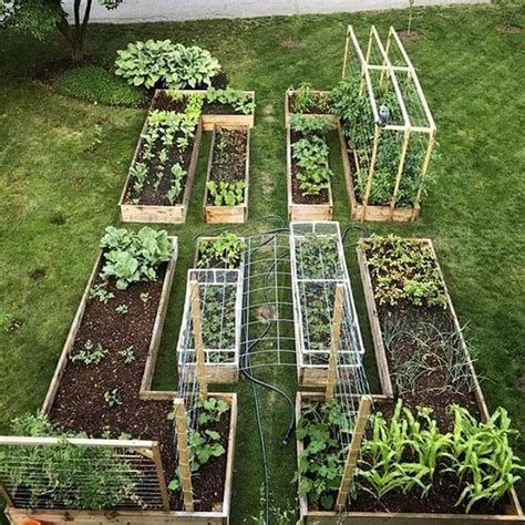 17 Beginner Vegetable Garden Layout Ideas You Should Look | SharonSable