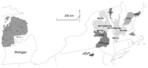 Forest Disturbance Types and Current Analogs for Historical Disturbance ...