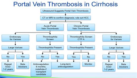 Portal Vein Thrombosis in the Setting of Cirrhosis: Evaluation and Management Strategies ...