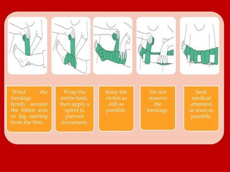 Image result for Introduction to First Aid PPT