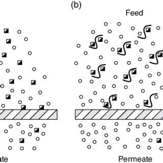 Image result for Ultrafiltration Process