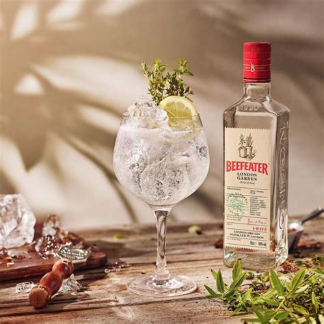 8 top gins to drink in 2021 | Architectural Digest India