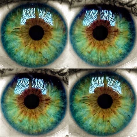 Albums 99+ Pictures Pictures Of Green Eyes Vs Hazel Eyes Latest