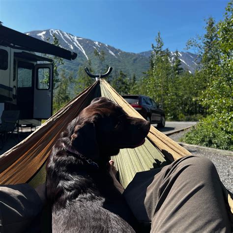 Quartz Creek Campground | Cooper Landing, Alaska