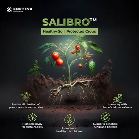 Corteva Agriscience launches Salibro to Combat Crop-Damaging Nematodes ...