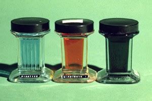 Image result for Diff Quick Stain