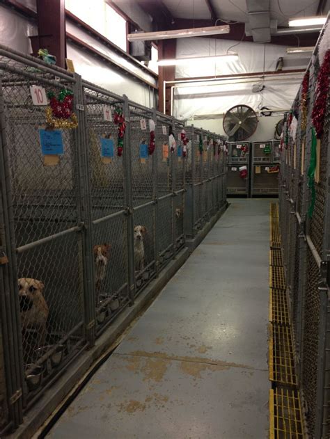 Anonymous donors give $1 million to expand Lorain County Dog Kennel ...