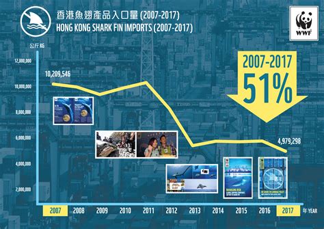 Imports Of Hong Kong