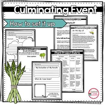 Image result for Project-Based Learning First Grade Lessons